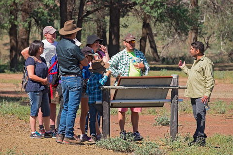 Yura Udnyu - Our Culture, Your Culture (Aboriginal Cultural Walk) - Accommodation 4U 2