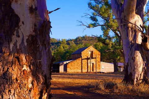 Yura Udnyu - Our Culture, Your Culture (Aboriginal Cultural Walk) - Accommodation 4U 4
