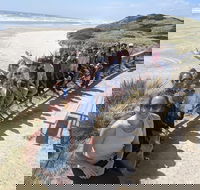 3 Day Tasmanian Wild West Coast Tour from Hobart to Launceston - Accommodation 4U