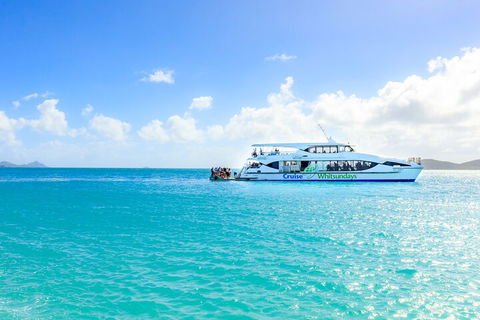 Whitehaven Beach And Daydream Island Cruise - Accommodation 4U 2