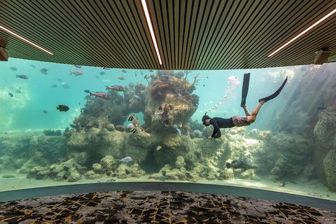 Whitehaven Beach And Daydream Island Cruise - Accommodation 4U 4