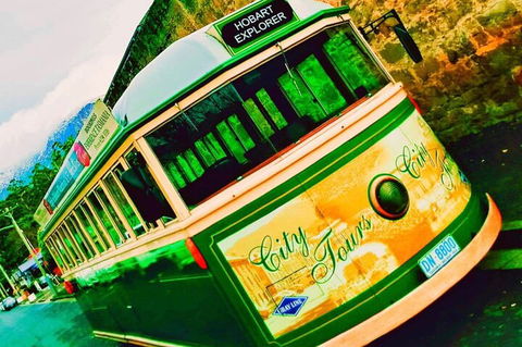 Hobart Half-Day Sightseeing Coach Tram Tour - Accommodation 4U 5