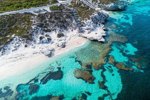 Rottnest Island Round-Trip Ferry From Perth Or Fremantle - Accommodation 4U 0