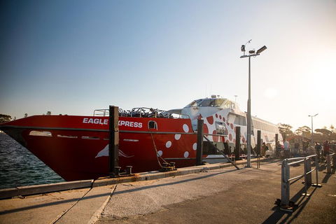 Rottnest Island Round-Trip Ferry From Perth Or Fremantle - Accommodation 4U 2