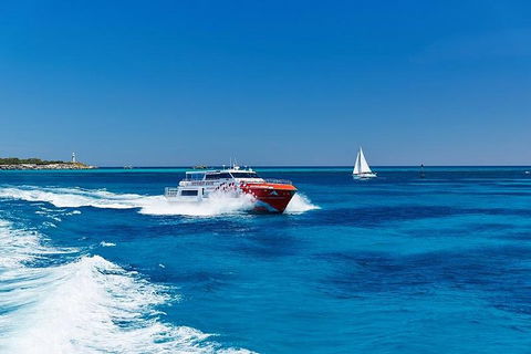 Rottnest Island Round-Trip Ferry From Perth Or Fremantle - Accommodation 4U 4