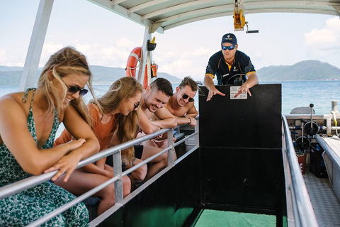 Fitzroy Island Day Trip From Cairns - Accommodation 4U 4