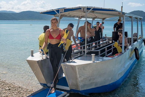 Fitzroy Island Day Trip From Cairns - Accommodation 4U 5