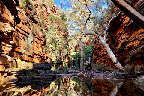 10-Day Adelaide To Perth Adventure Tour - Accommodation 4U 5