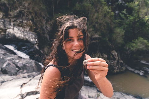 Springbrook AndTamborine Rainforest Tour Incl Natural Bridge And Glow Worm Cave - Accommodation 4U 1