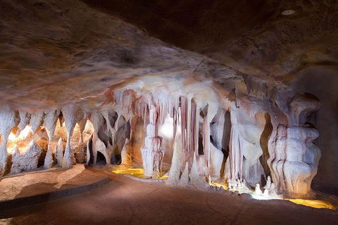 Springbrook AndTamborine Rainforest Tour Incl Natural Bridge And Glow Worm Cave - Accommodation 4U 4