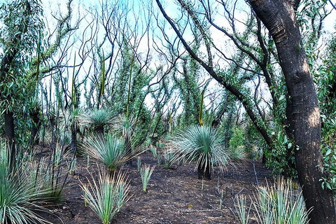 NEW TOUR - Kangaroo Island Road To Recovery Tour (1 Day/1 Night) - Accommodation 4U 3