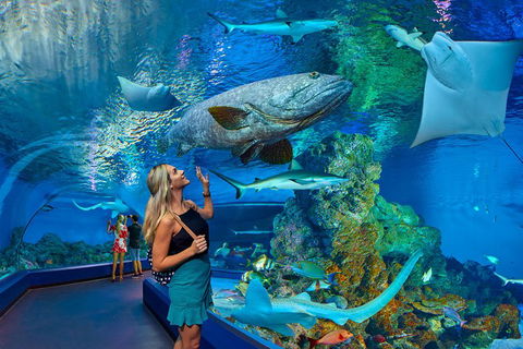 Cairns Aquarium Admission Ticket - Accommodation 4U 3