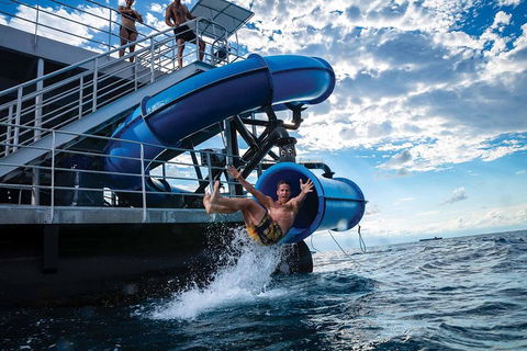 Outer Reef Pontoon Experience From Cairns - Accommodation 4U 3
