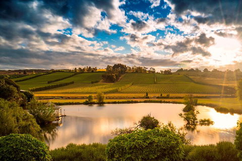 Josef Chromy Wines Winery Tour Including Tasting And Lunch - Accommodation 4U 3