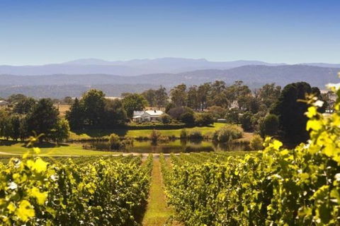 Josef Chromy Wines Winery Tour Including Tasting And Lunch - Accommodation 4U 4