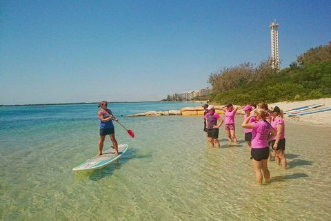 Golden Beach 1-Hour Stand-Up Paddleboard Hire On The Sunshine Coast - Accommodation 4U 1