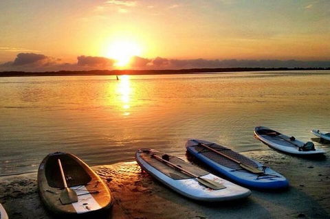 Golden Beach 1-Hour Stand-Up Paddleboard Hire On The Sunshine Coast - Accommodation 4U 2
