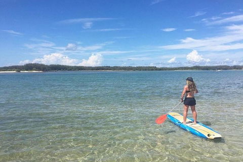 Golden Beach 1-Hour Stand-Up Paddleboard Hire On The Sunshine Coast - Accommodation 4U 4
