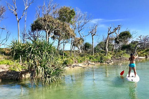 Golden Beach 1-Hour Stand-Up Paddleboard Hire On The Sunshine Coast - Accommodation 4U 5