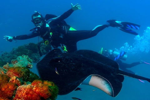 Scuba Dive The S.S. Yongala Wreck On The Great Barrier Reef. - Accommodation 4U 0