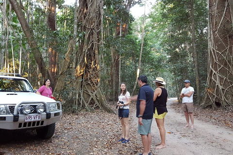 Great Beach Drive 4WD Tour - Private Charter From Noosa To Rainbow Beach - Accommodation 4U 1